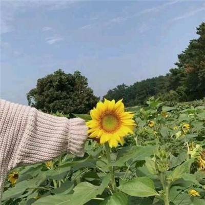 沙滩摩托狂飙手游下载