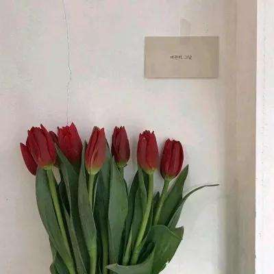 小镇丰收游戏下载